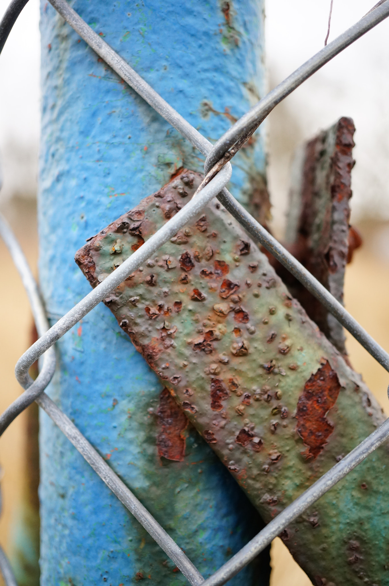 Sony Alpha NEX-6 + Sony E 30mm F3.5 Macro sample photo. Metal pole photography