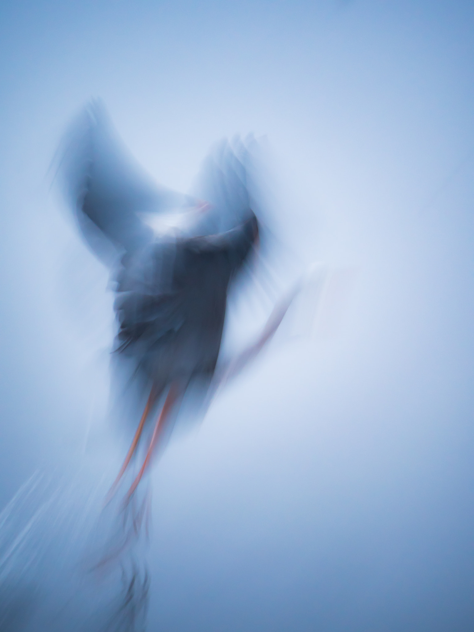Panasonic Lumix G X Vario 35-100mm F2.8 OIS sample photo. Lift-off photography