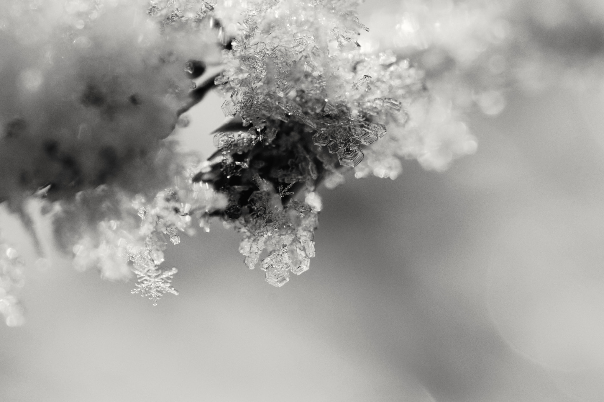 Nikon AF-S Micro-Nikkor 60mm F2.8G ED sample photo. Snowflake photography