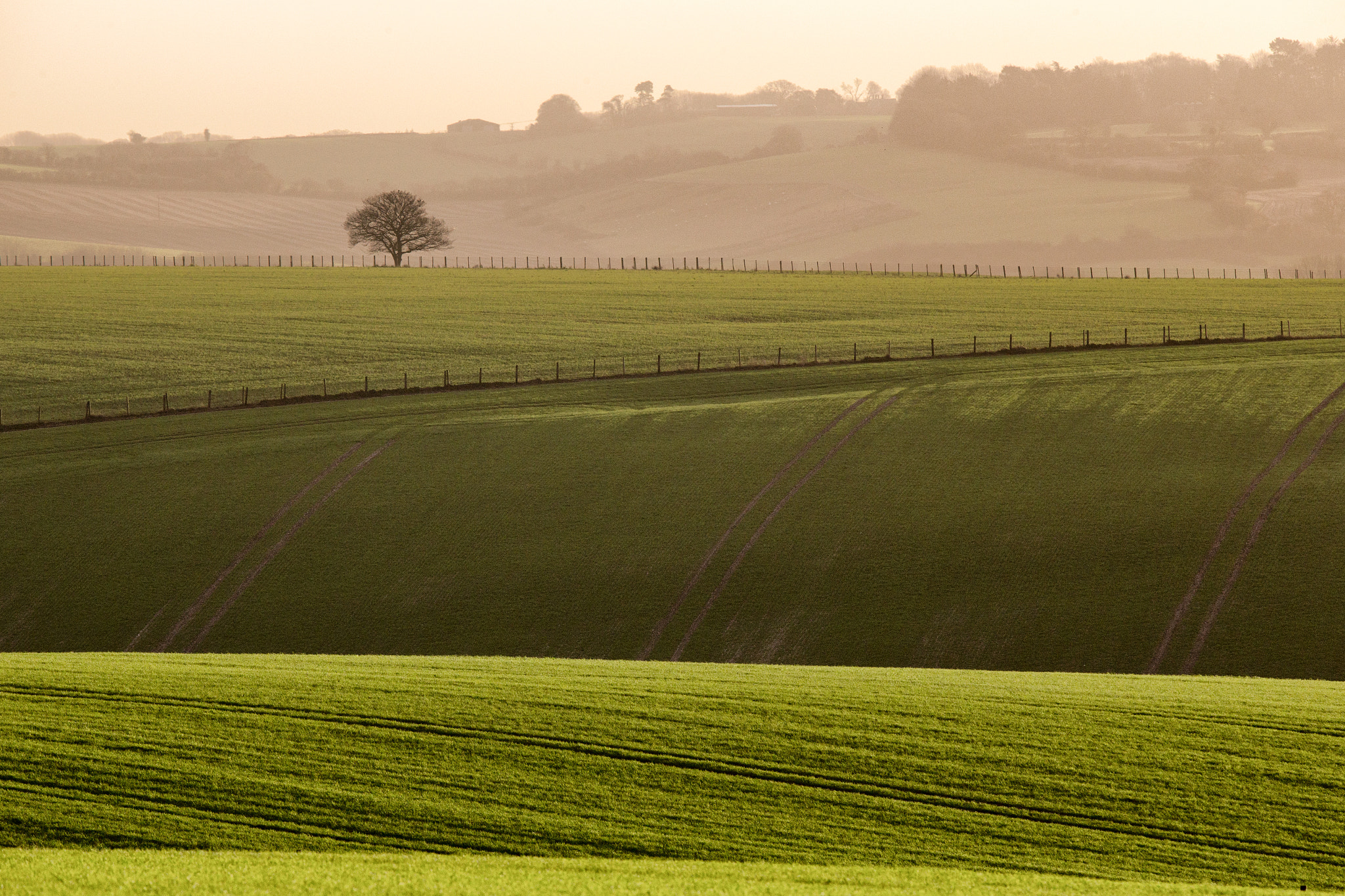 Canon EOS 6D + Tamron SP 150-600mm F5-6.3 Di VC USD sample photo. Rolling hills of wiltshire photography