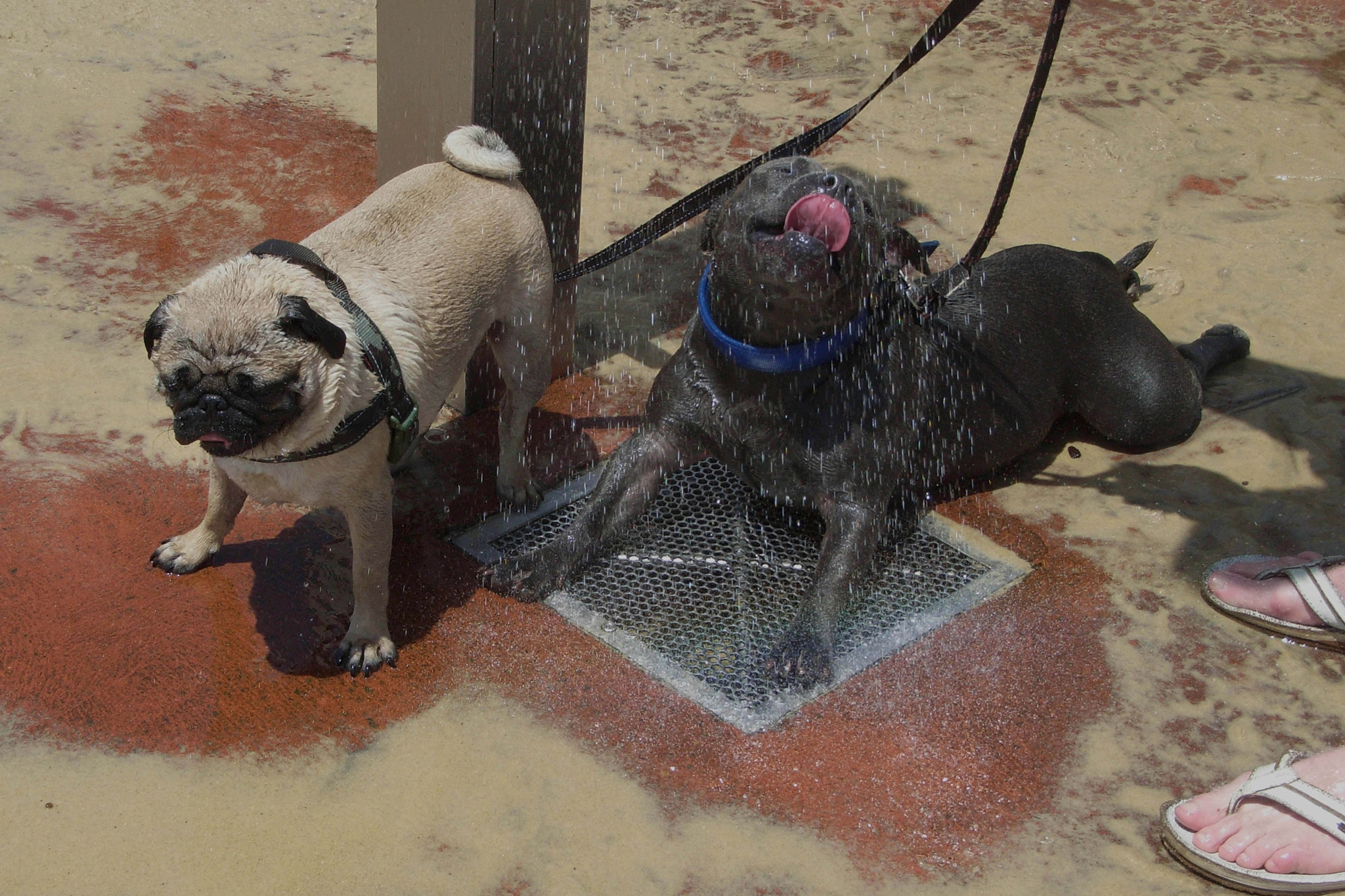 Ricoh Caplio R5 sample photo. Welcome beach relief photography