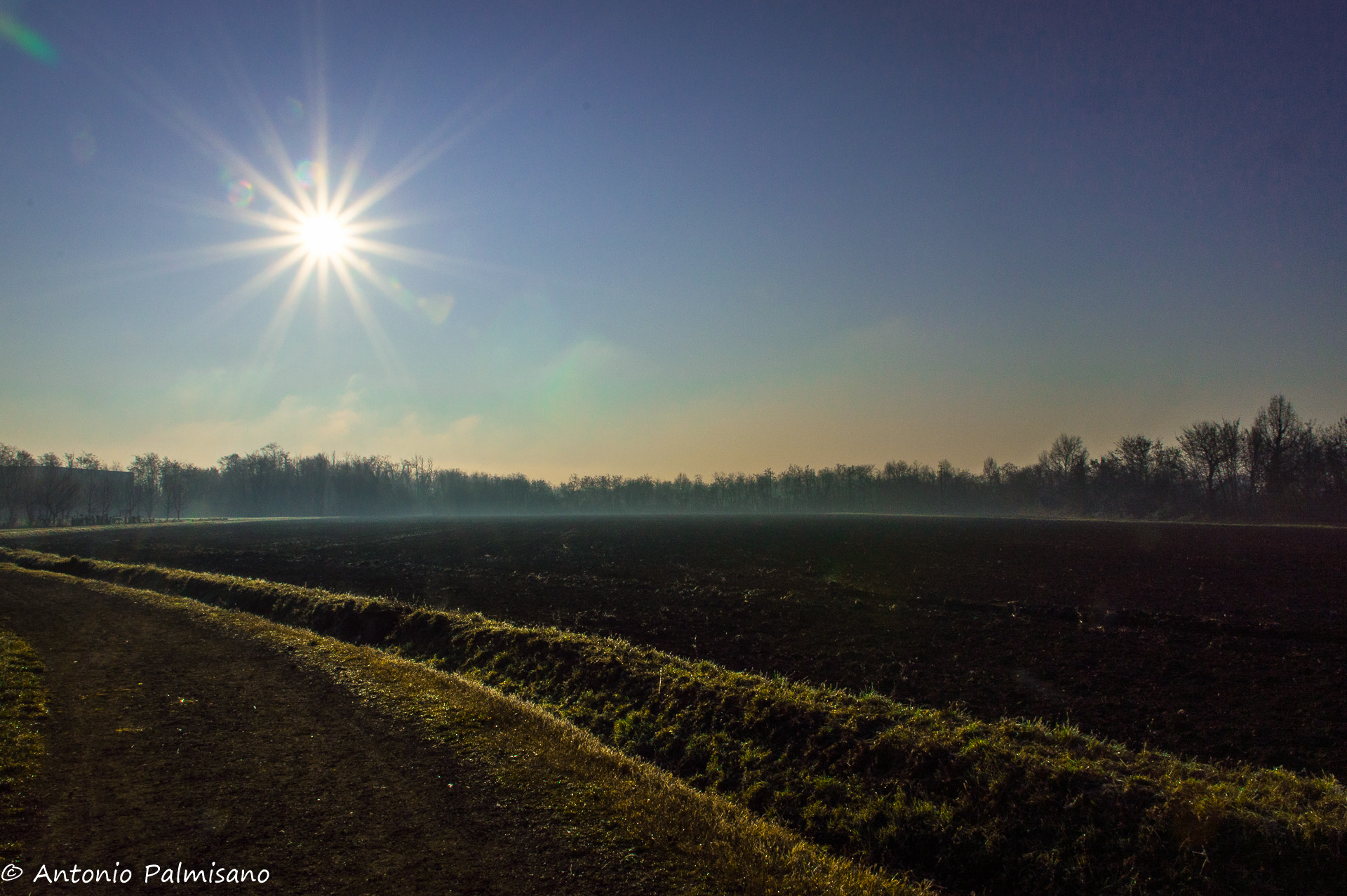 Sigma 17-70mm F2.8-4 DC Macro OS HSM | C sample photo. Sun in the morning photography