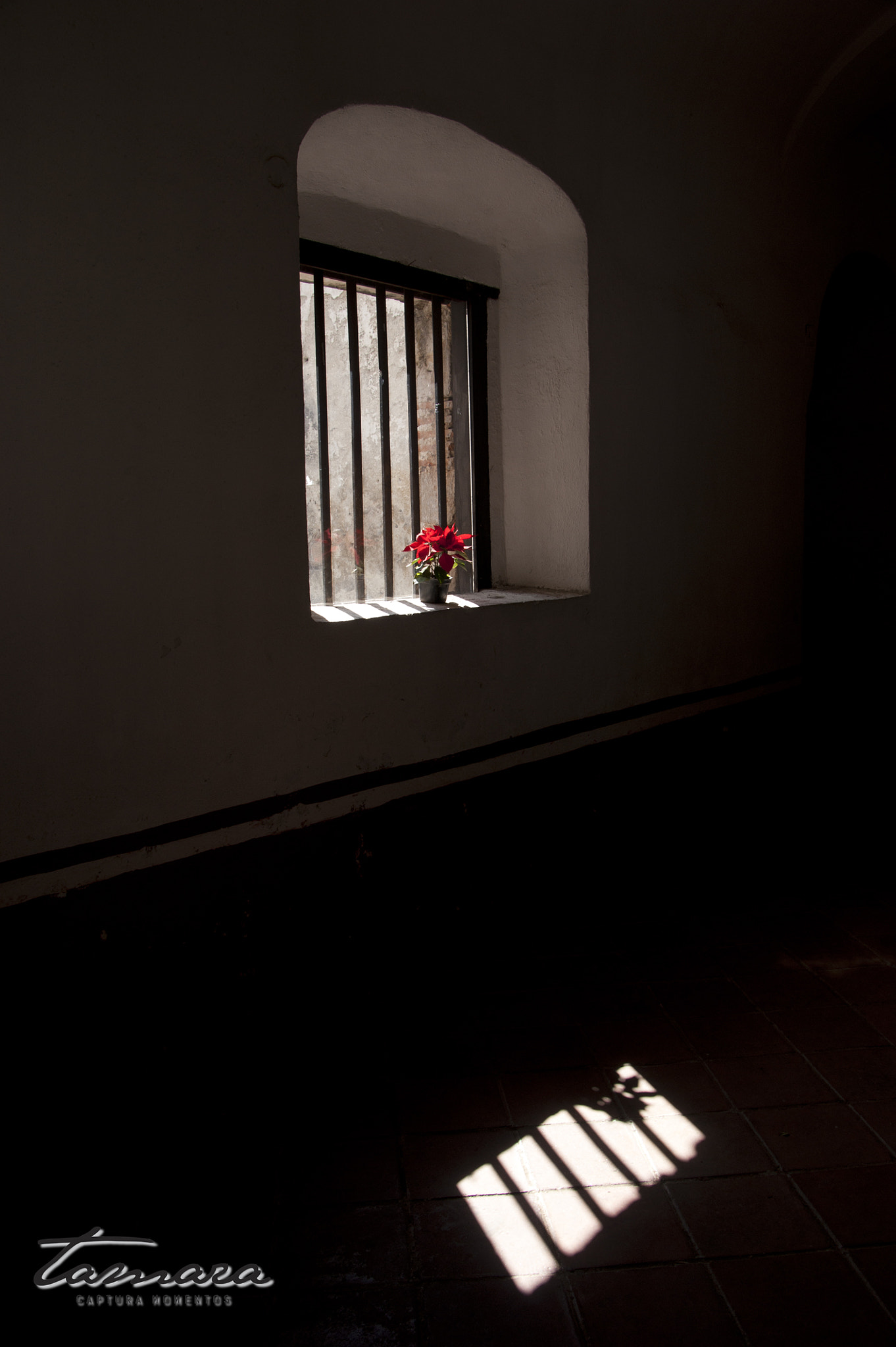 Sony DT 18-250mm F3.5-6.3 sample photo. Window photography