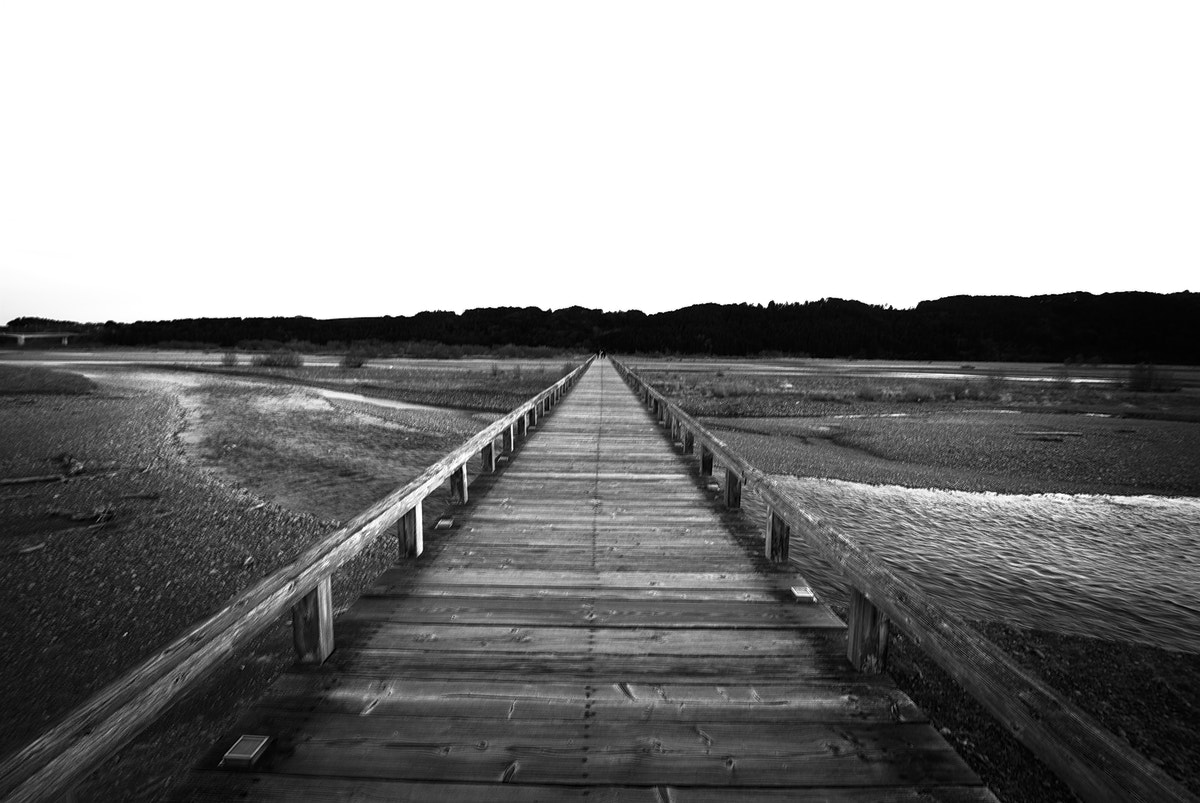 Nikon D40X sample photo. The bridge photography
