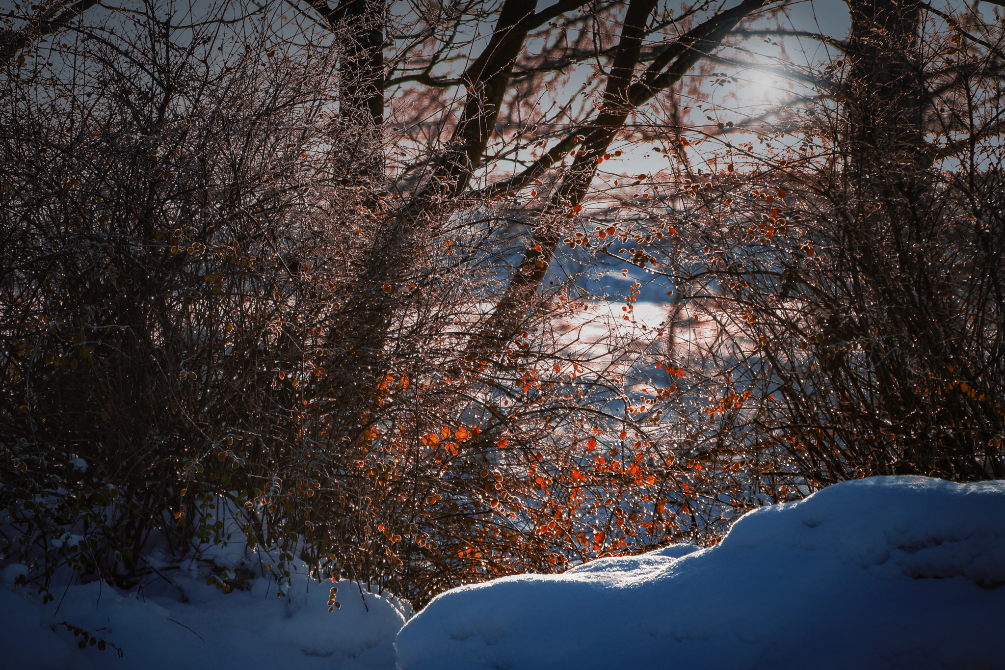 Canon EF 70-300mm F4-5.6 IS USM sample photo. Crazy about winter photography