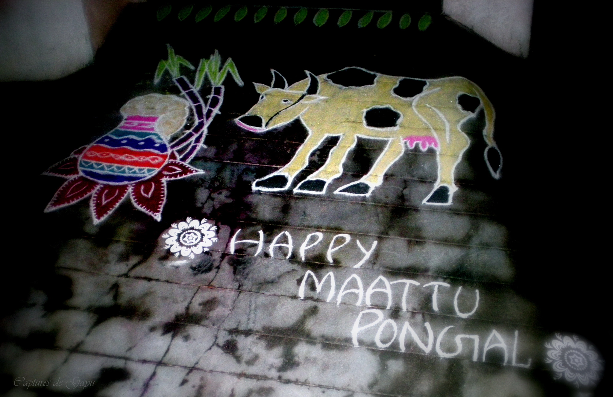 Nikon COOLPIX S200 sample photo. Kolam for matupongal photography