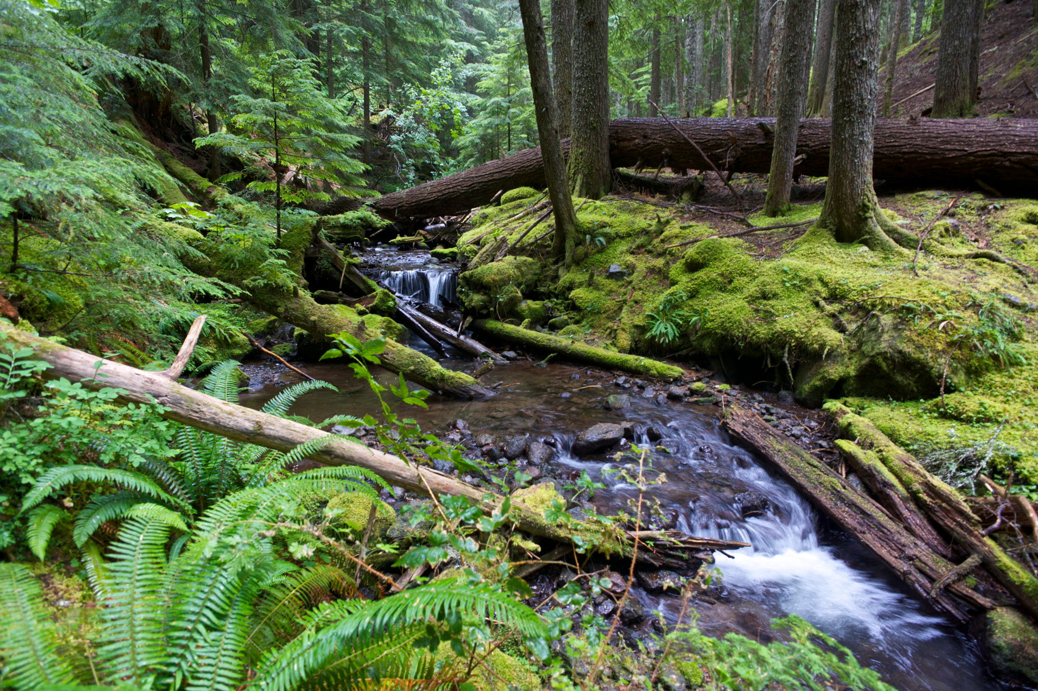 ZEISS Touit 12mm F2.8 sample photo. Below ramona falls photography