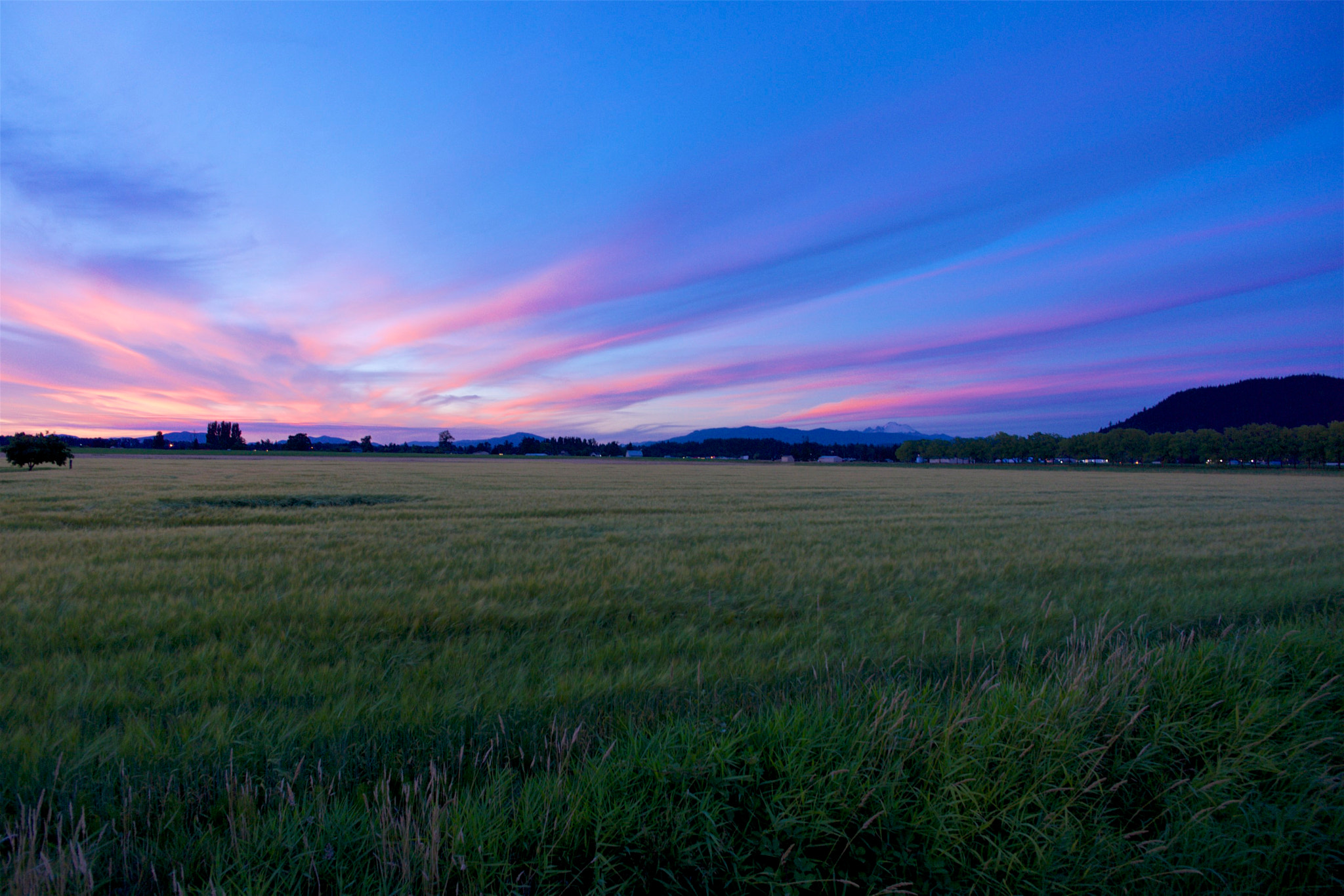 ZEISS Touit 12mm F2.8 sample photo. Late washingotn dusk photography