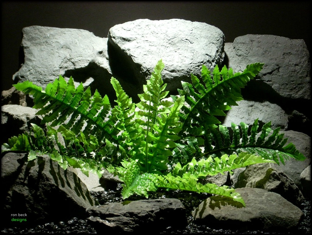 Nikon COOLPIX L11 sample photo. Silk reptile or snake habitat plant: fern “real touch" texture photography
