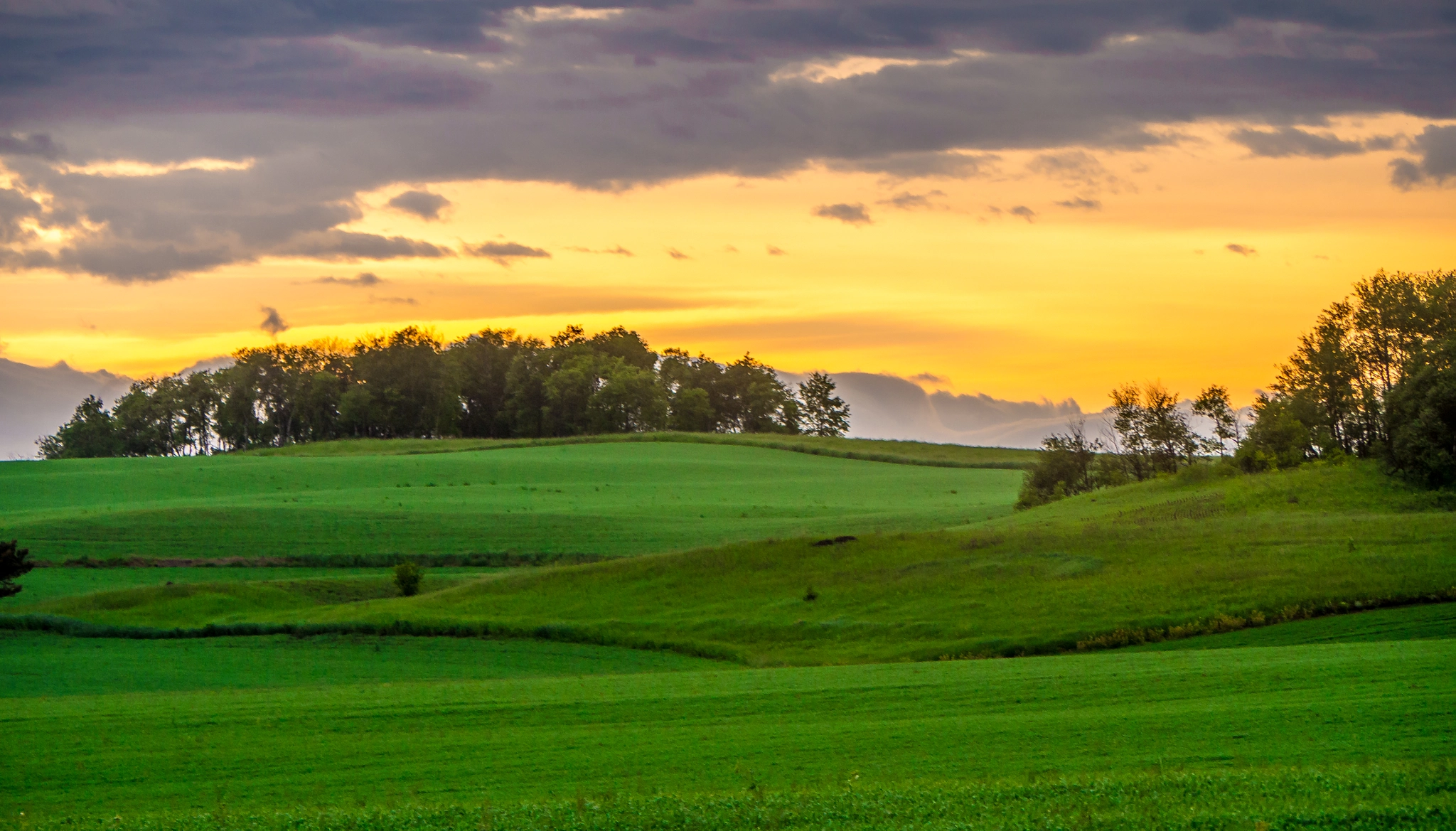 Panasonic Lumix G Vario 45-200mm F4-5.6 OIS sample photo. Green fields and sunset photography
