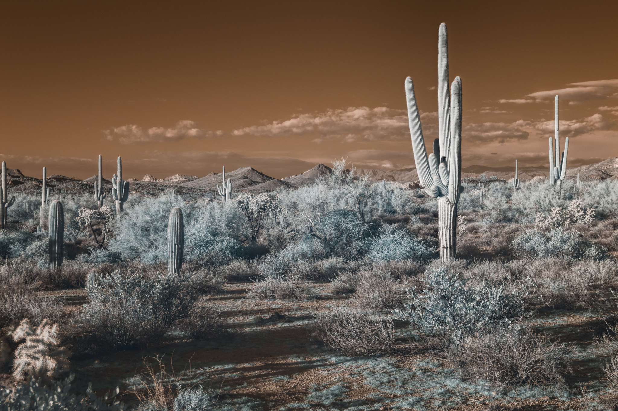 Nikon AF-S Nikkor 16-35mm F4G ED VR sample photo. Vast desert photography