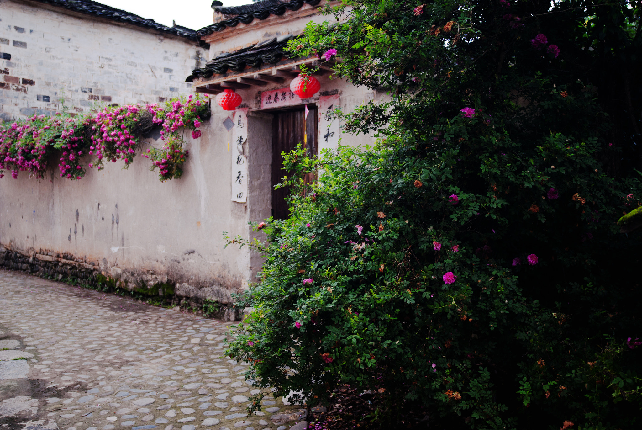 Nikon D200 sample photo. 宅 photography