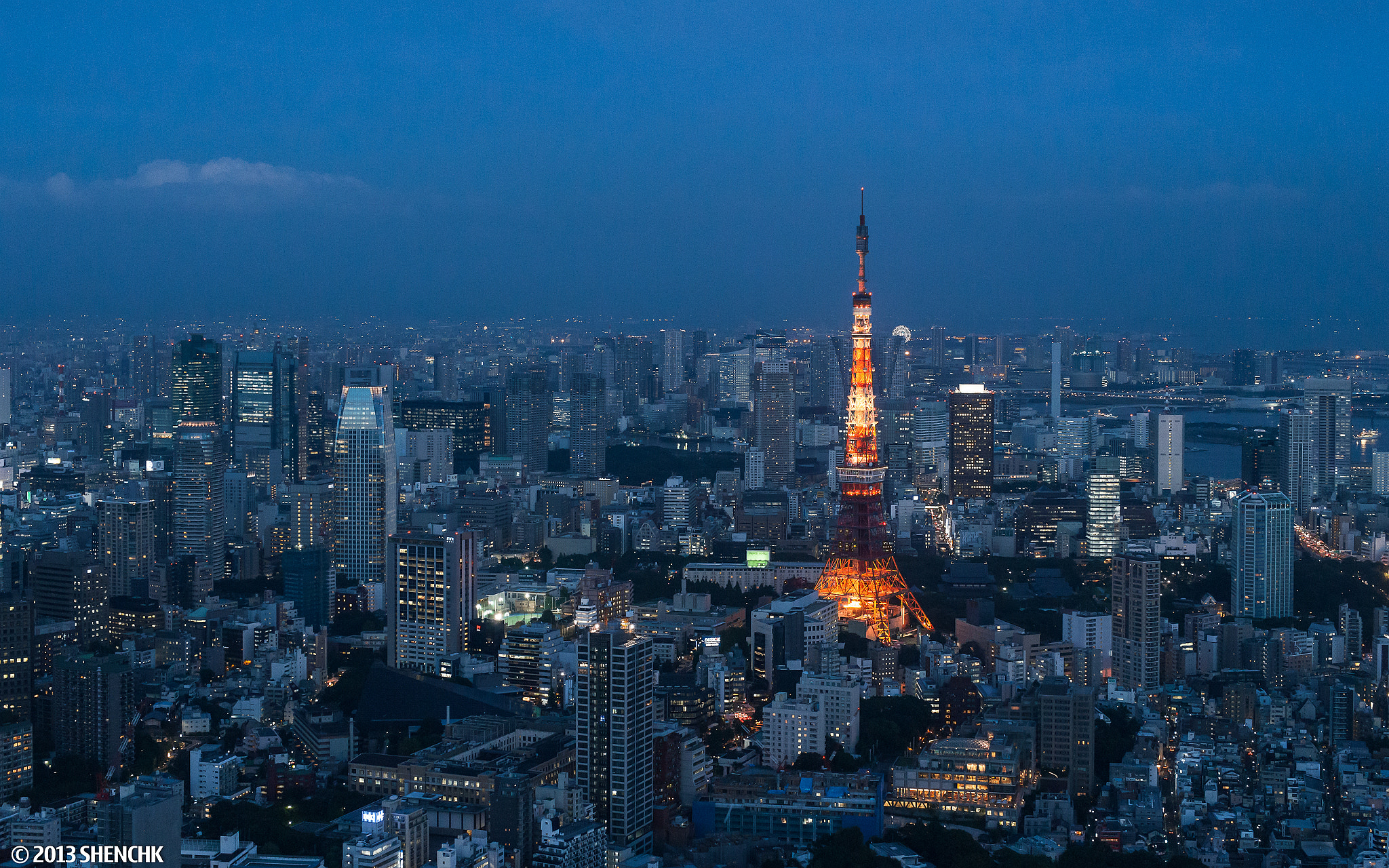Sony Planar T* 50mm F1.4 ZA SSM sample photo. Tokyo night photography