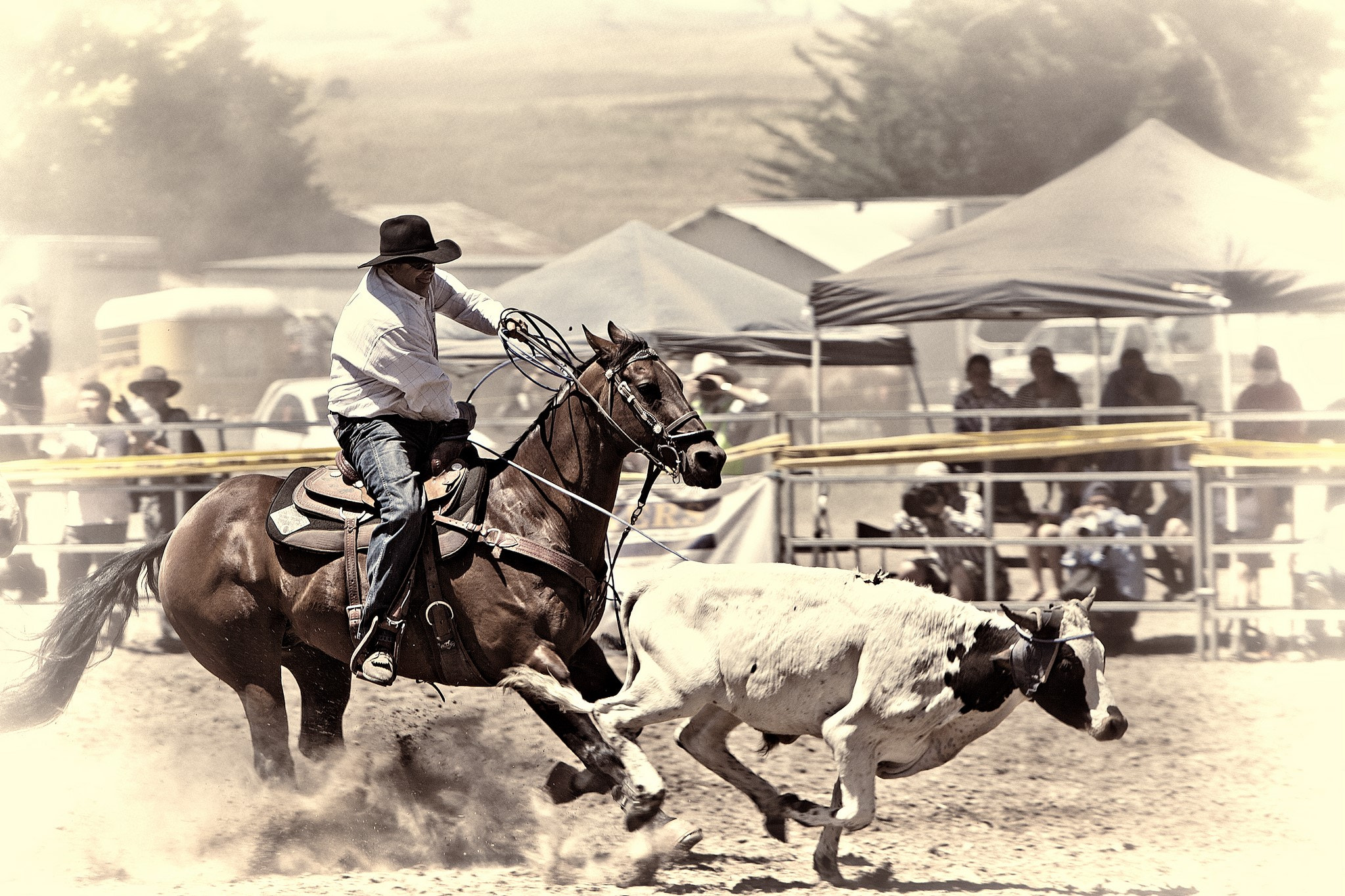 Canon EOS 5D Mark II + Canon EF 70-200mm F2.8L IS USM sample photo. Picton rodeo photography
