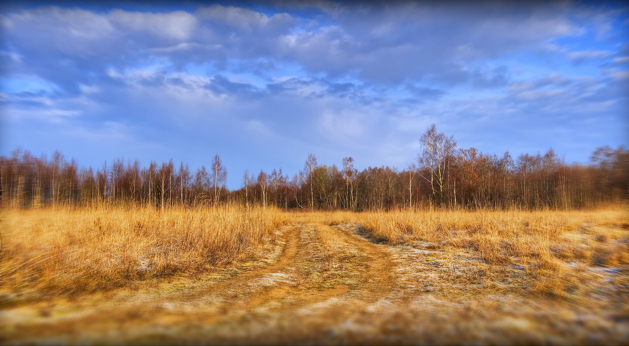 Tamron AF 28-75mm F2.8 XR Di LD Aspherical (IF) sample photo. Golden autumn photography