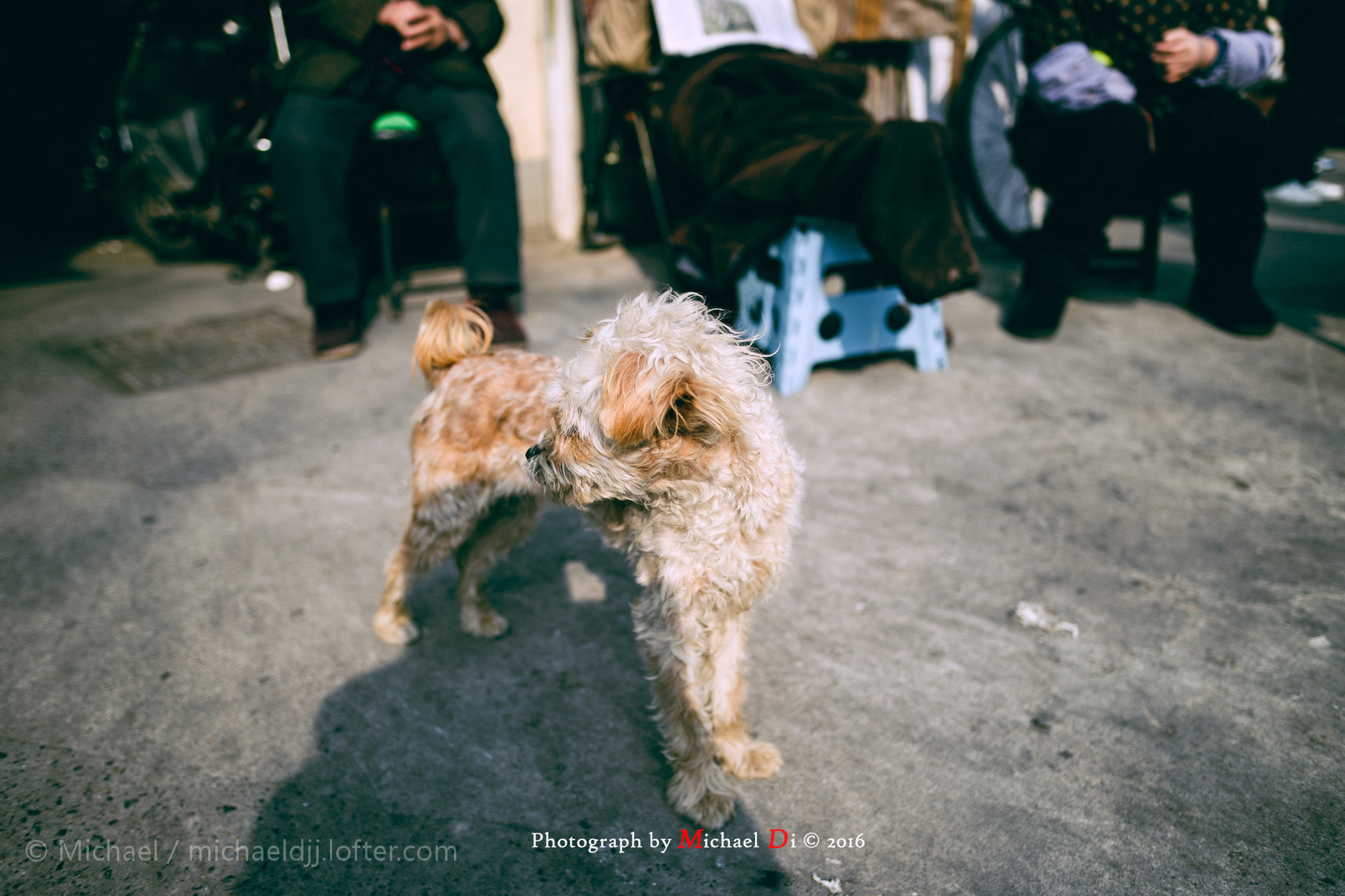 Nikon Df sample photo.  through my lens 011616.  photography