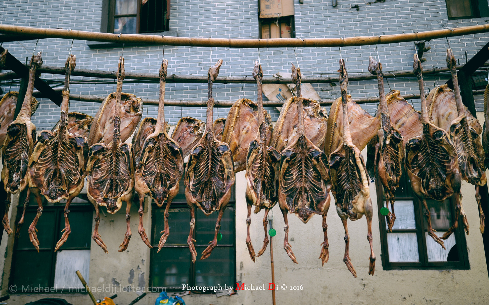 Nikon Df sample photo.  through my lens 011616.  photography
