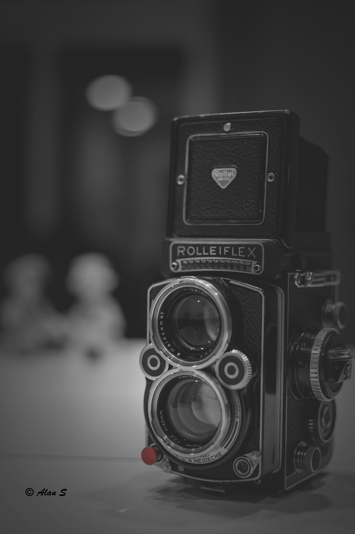 ZEISS Makro-Planar T* 50mm F2 sample photo. Rolleiflex 2.8f photography