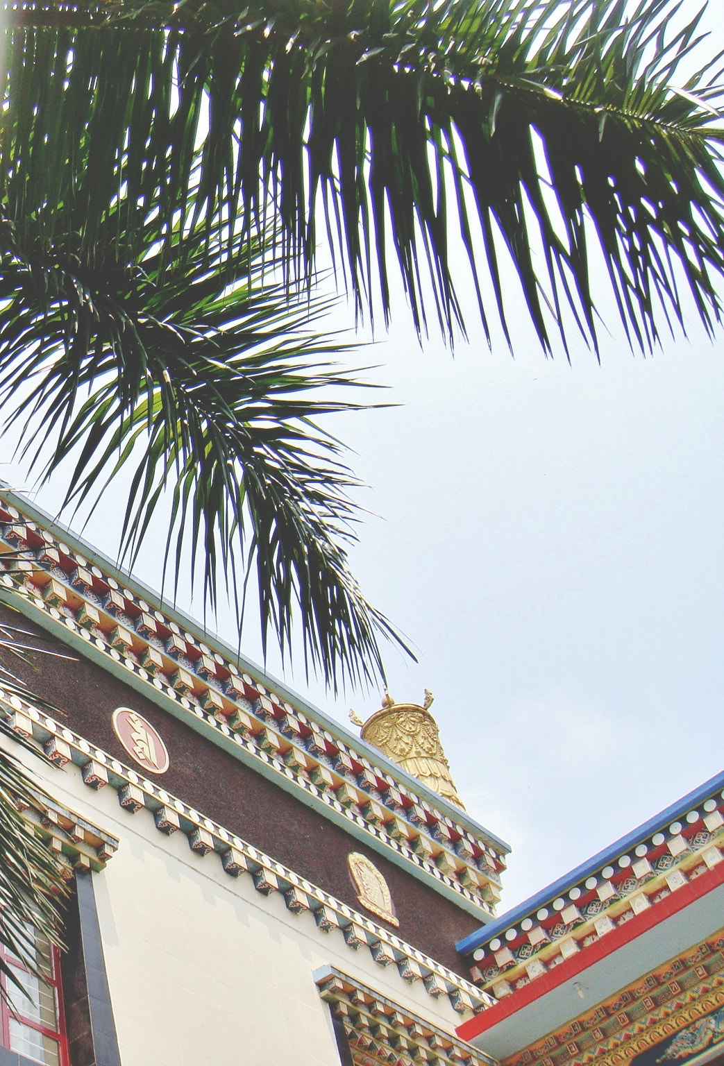 Sony DSC-T700 sample photo. Buddhist temple, coorg photography