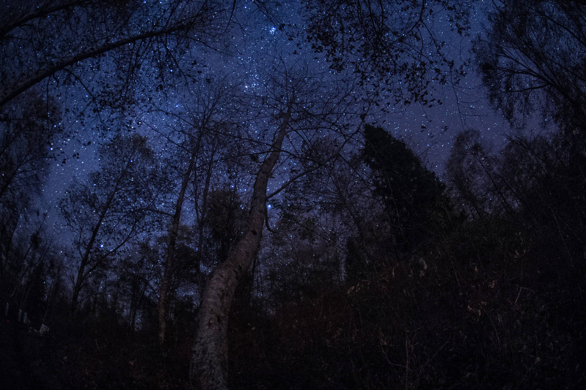 Nikon AF DX Fisheye-Nikkor 10.5mm F2.8G ED sample photo. Star gazing photography