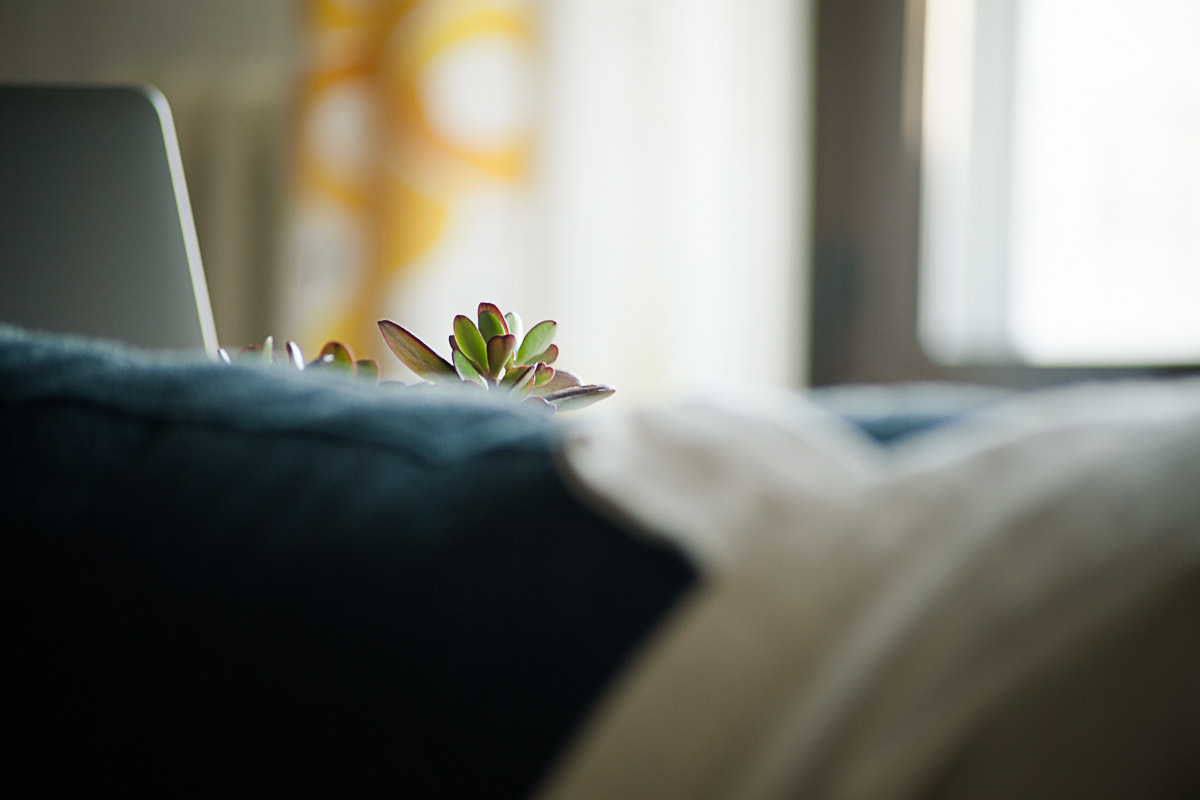 Canon EF 70-210mm f/4 sample photo. Zen photography