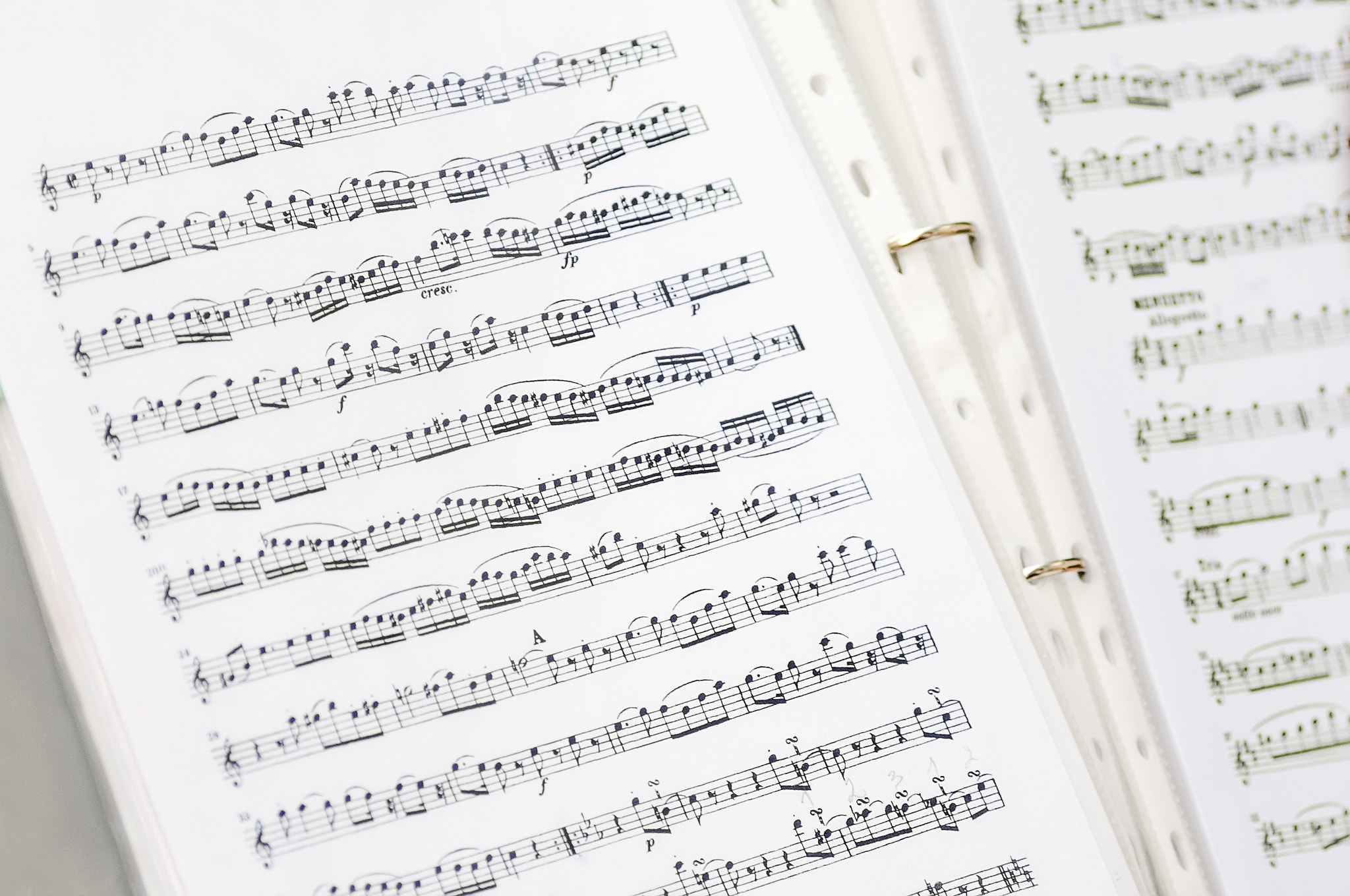 AF Zoom-Nikkor 80-200mm f/2.8 ED sample photo. Music notes photography