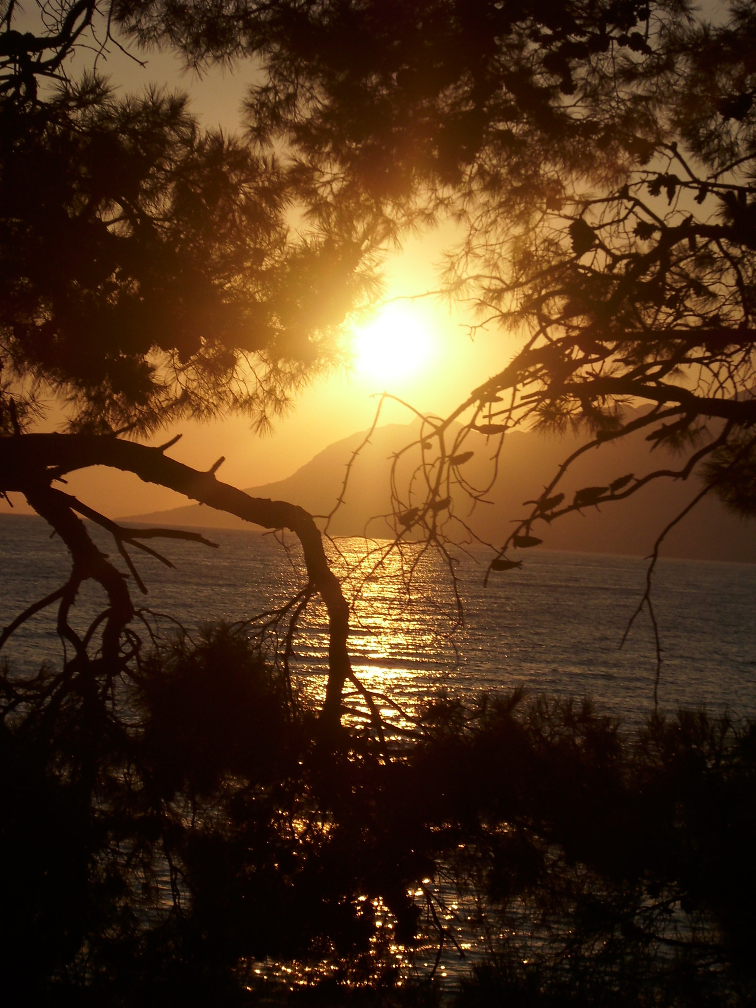 Benq DC C750 sample photo. Sunset photography