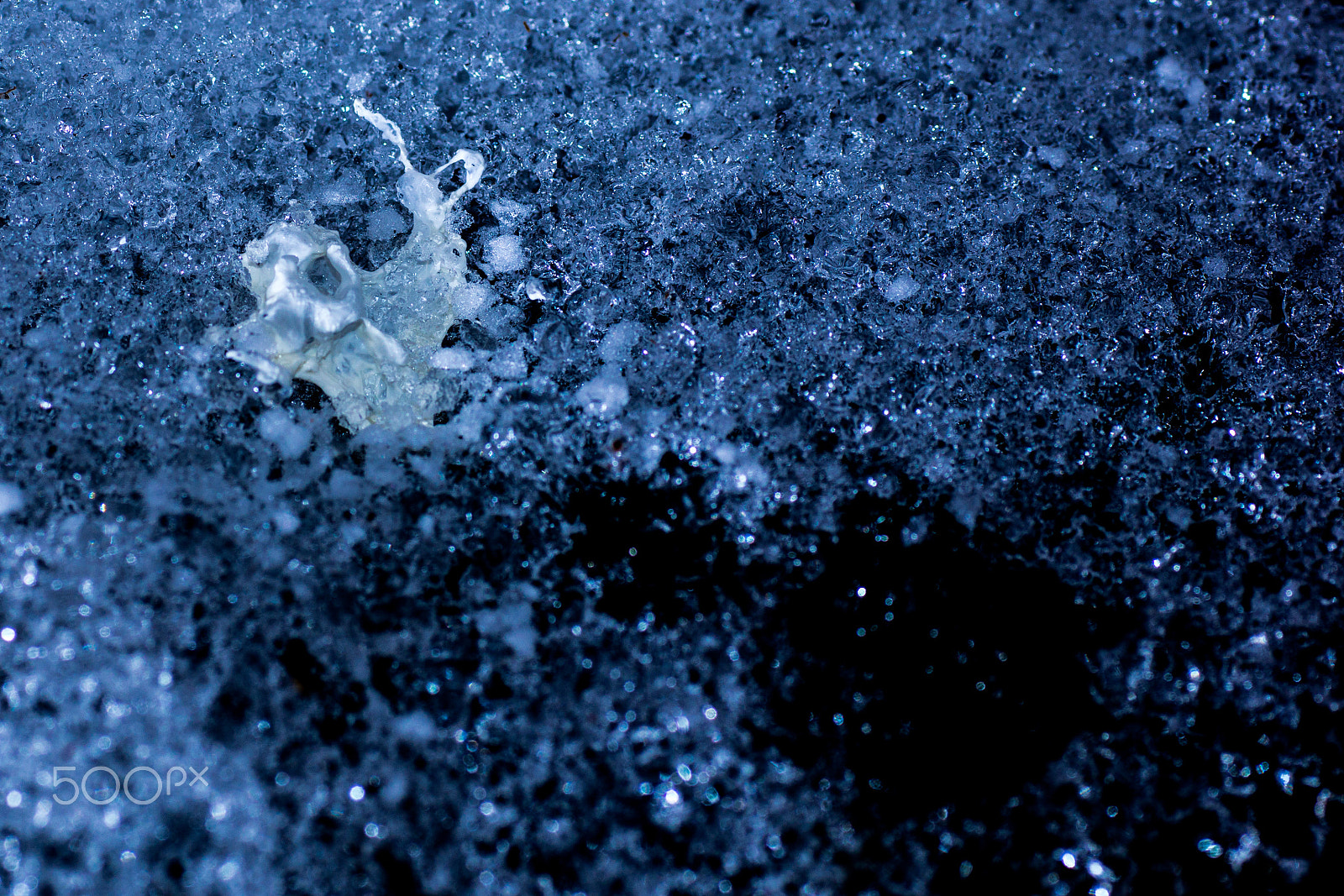Sony SLT-A77 + Sigma 70mm F2.8 EX DG Macro sample photo. Winter contamination photography
