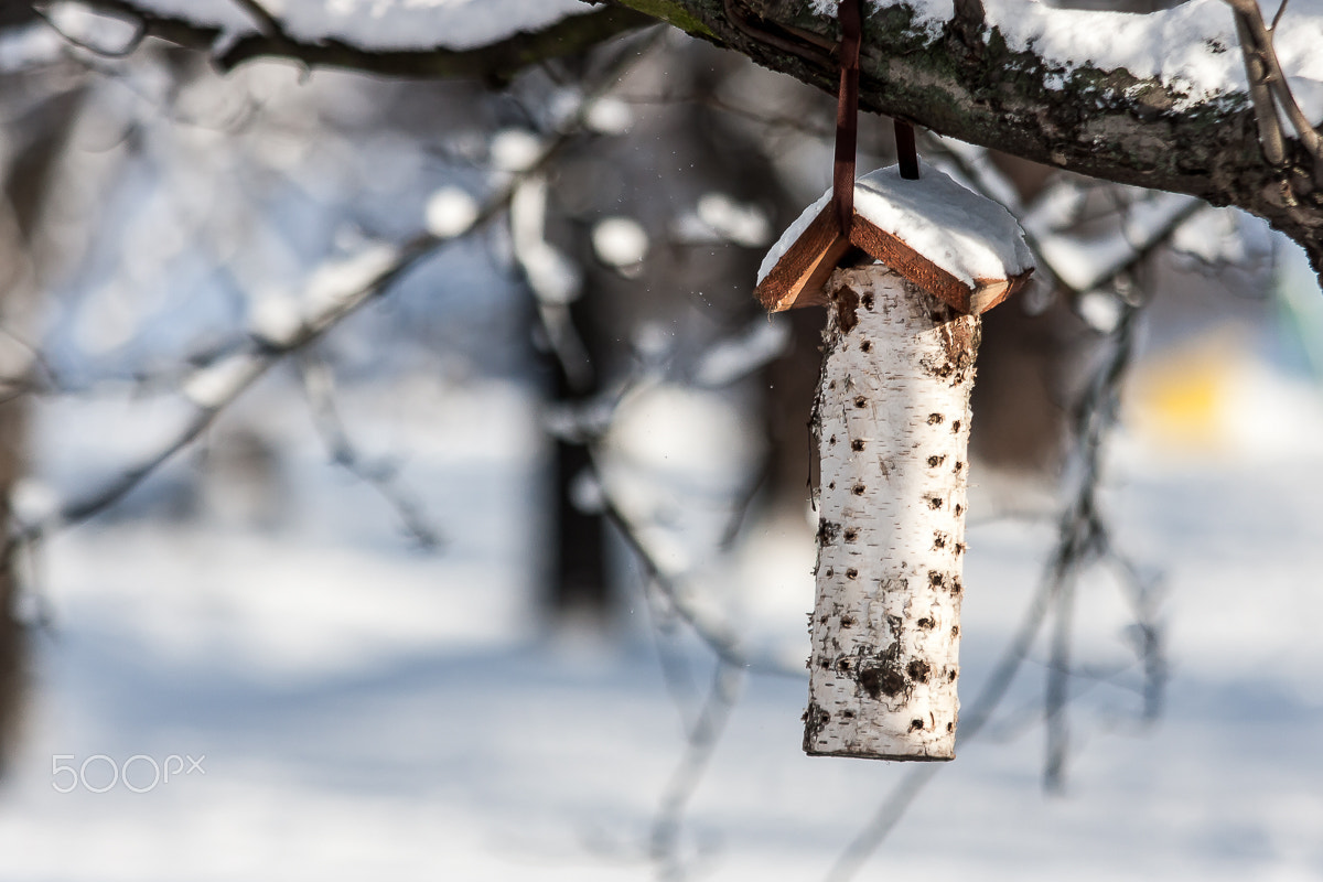 Canon EF 70-200mm F2.8L USM sample photo. Feeder photography