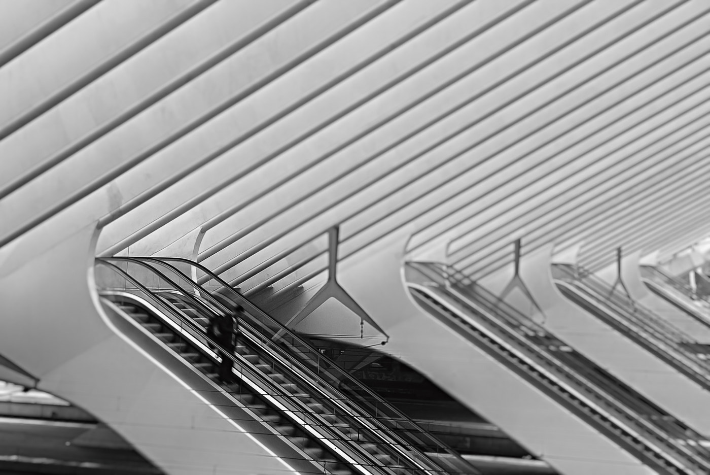 Sigma 18-50mm F2.8-4.5 DC OS HSM sample photo. Stairs photography