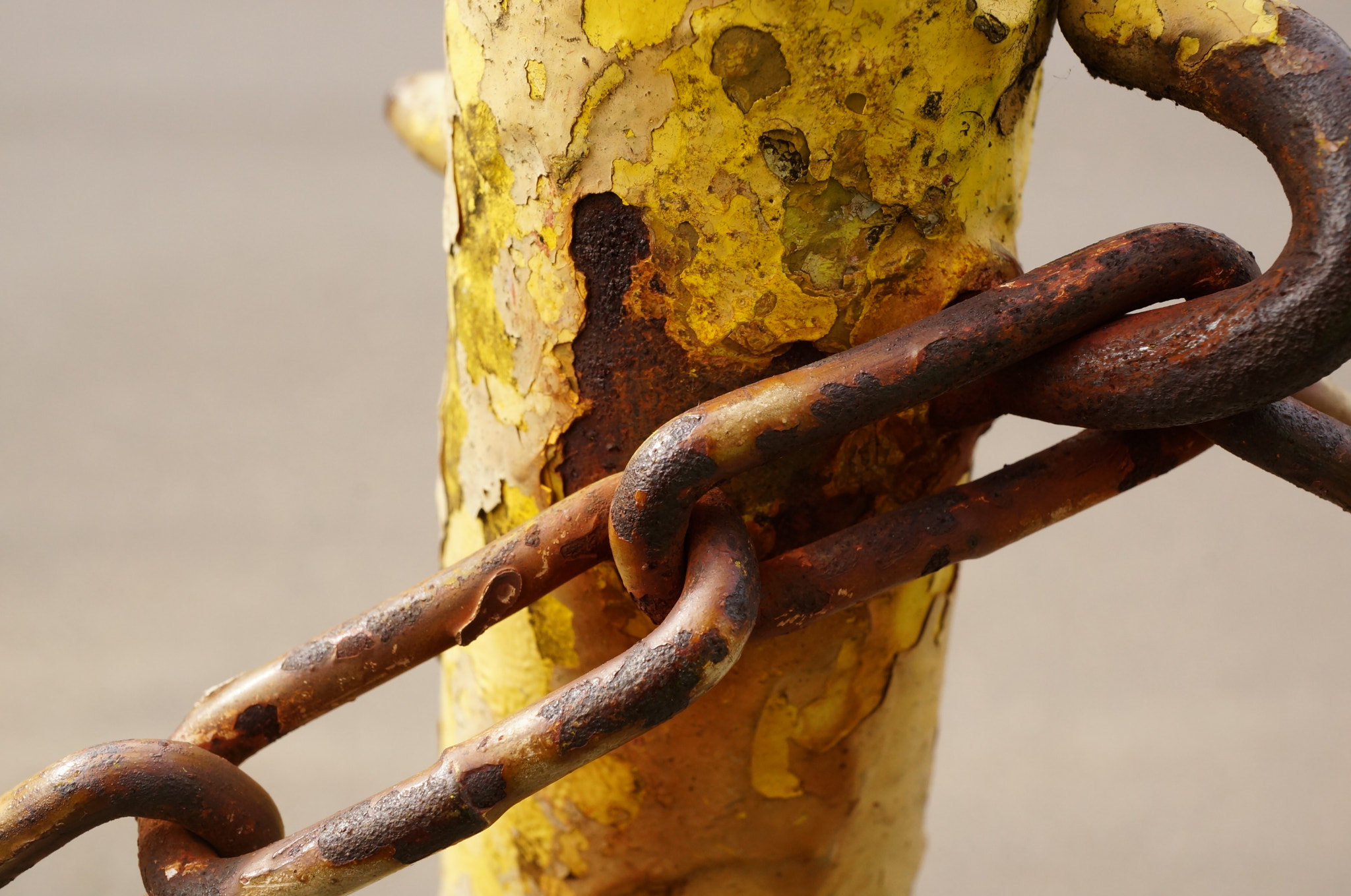 Sony Alpha NEX-6 + Sony E 30mm F3.5 Macro sample photo. Rusty chain photography