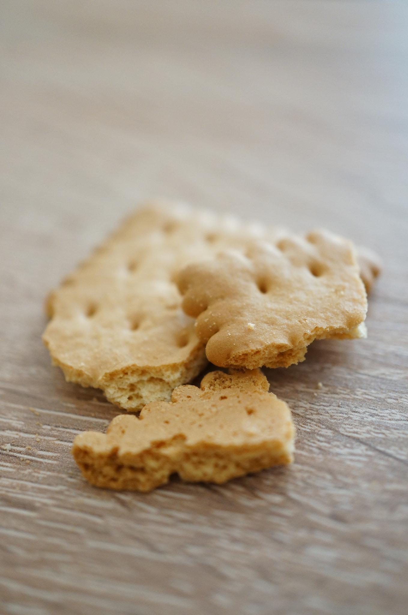 Sony Alpha NEX-5N + Sony E 30mm F3.5 Macro sample photo. Cookie pieces photography