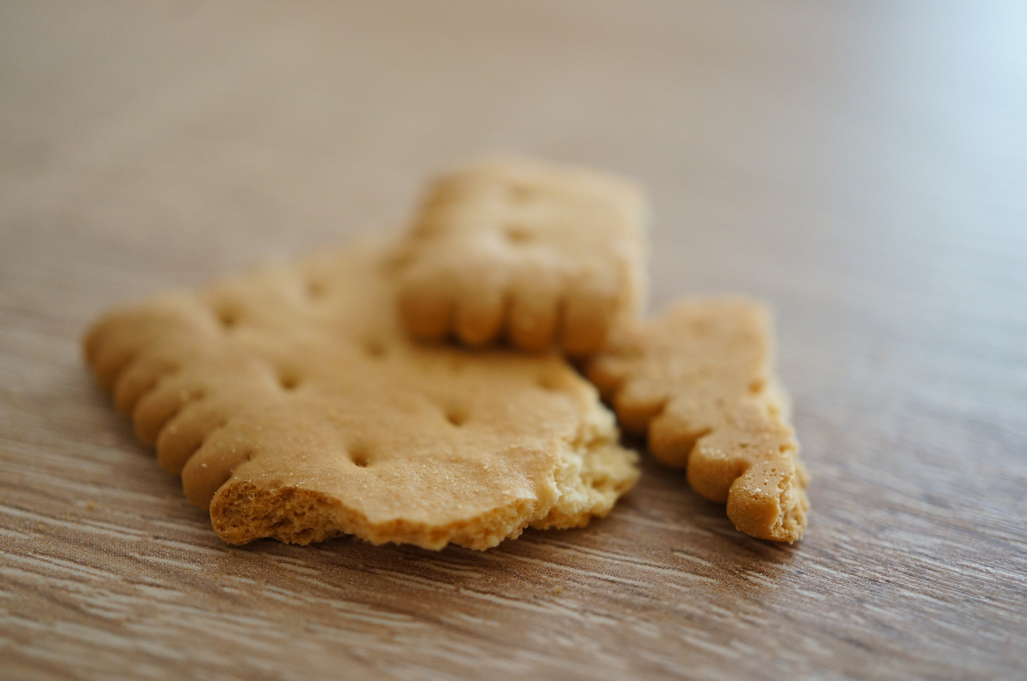 Sony Alpha NEX-5N + Sony E 30mm F3.5 Macro sample photo. Cookie pieces photography