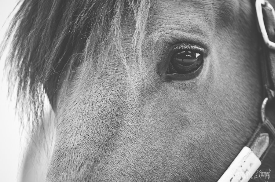 Pentax K-5 sample photo. Eyes photography