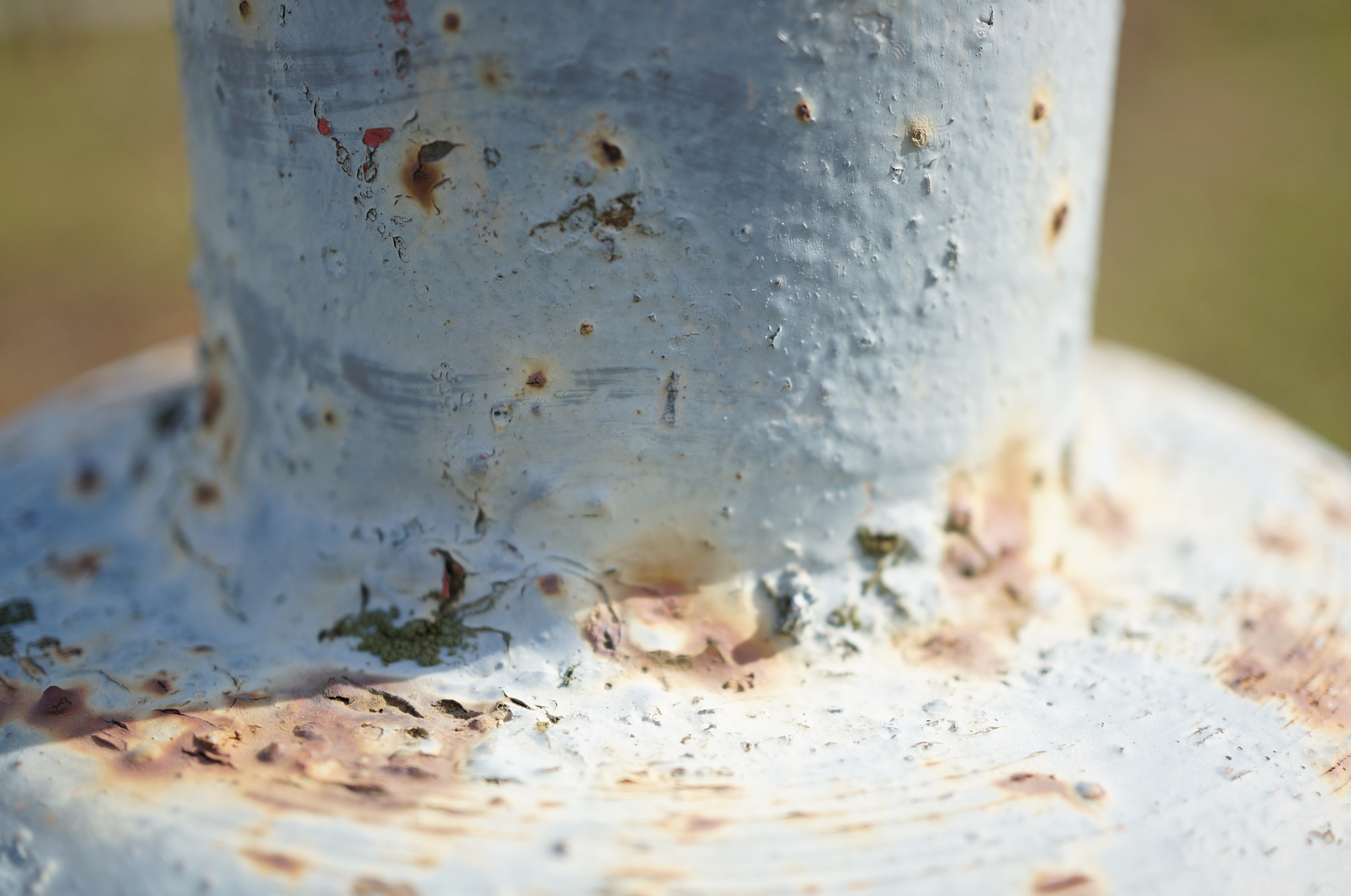 Sony Alpha NEX-5N + Sony E 30mm F3.5 Macro sample photo. Rusty pole photography