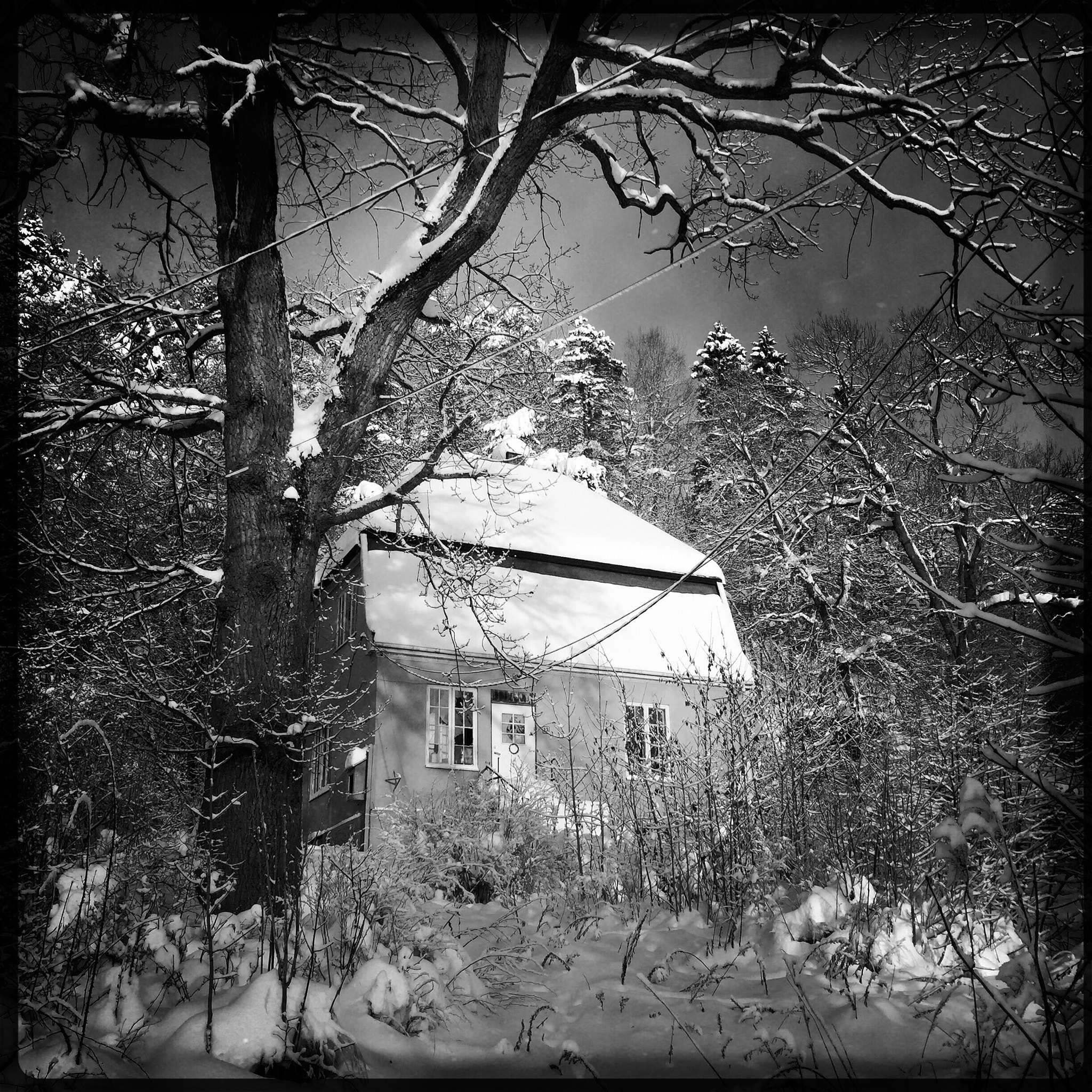 Hipstamatic 305 sample photo. Old house photography