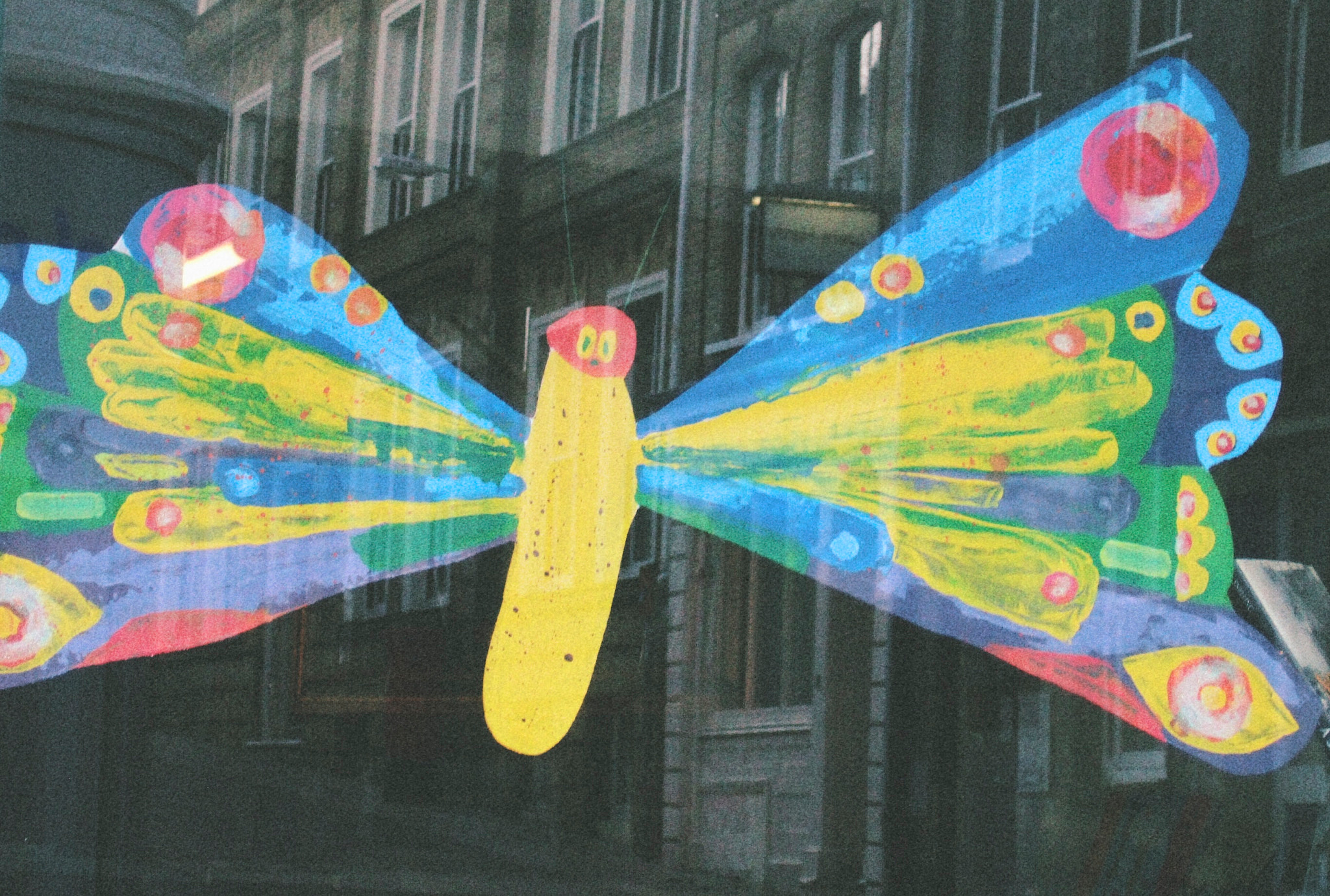 Fujifilm FinePix F11 sample photo. Rare giant butterfly photography