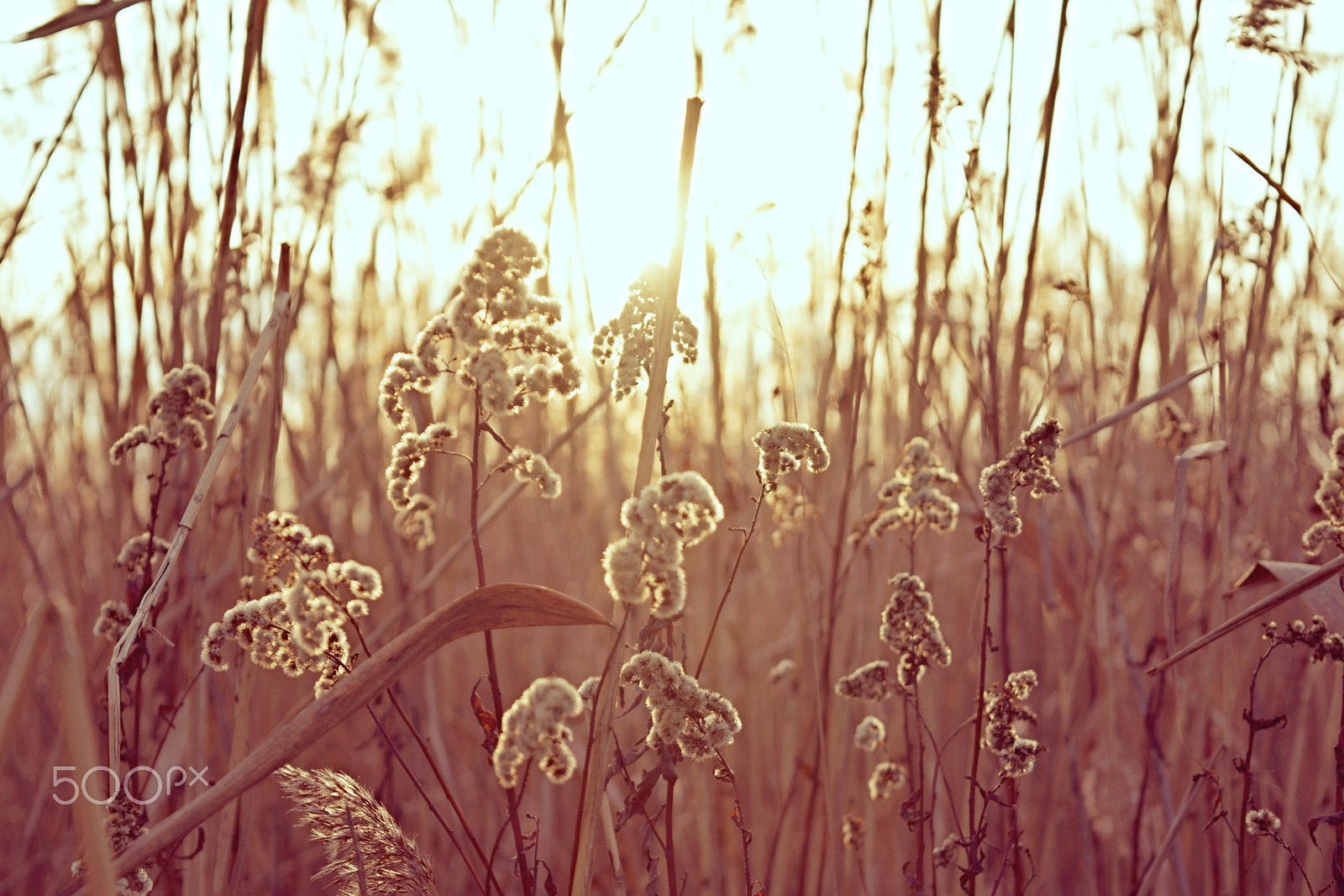 18.00 - 55.00 mm f/3.5 - 5.6 sample photo. Sunset photography