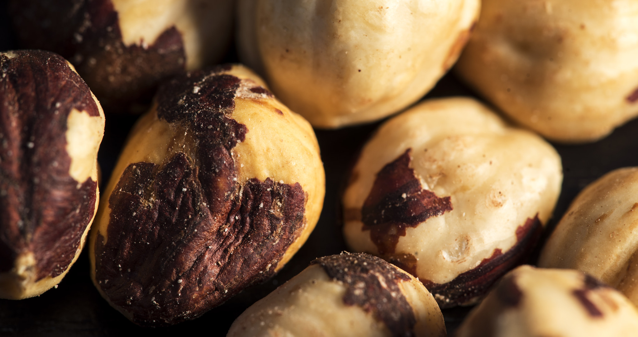 Sigma 150mm F2.8 EX DG Macro HSM sample photo. Foodmacro3 photography