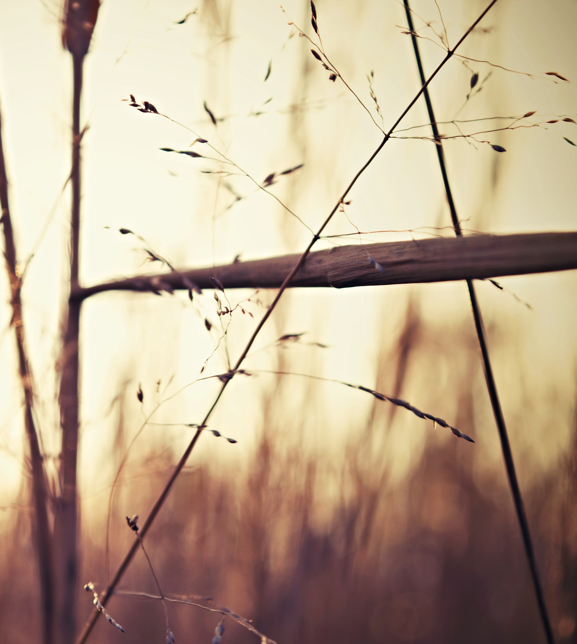 18.00 - 55.00 mm f/3.5 - 5.6 sample photo. Simplicity photography