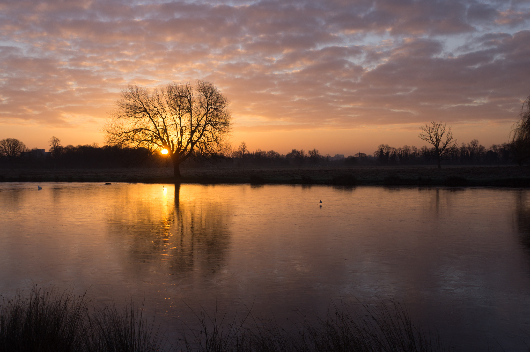 Sony SLT-A55 (SLT-A55V) sample photo. Now the sun is up photography