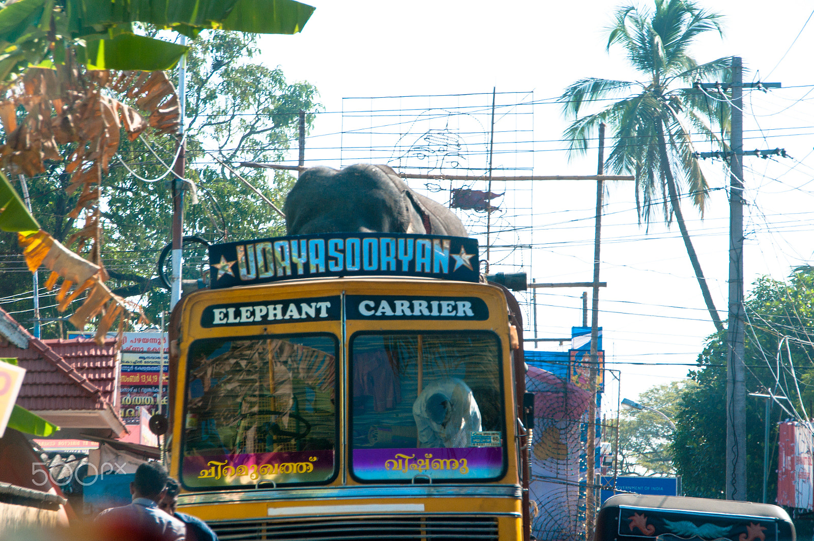 Pentax K-7 sample photo. Elephant carrier photography