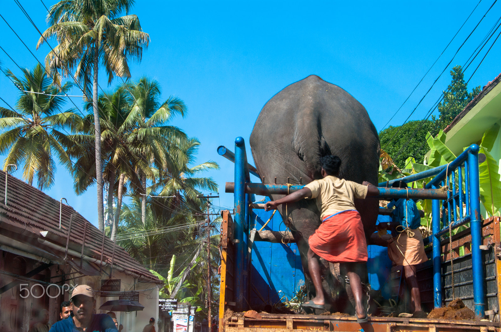 Pentax K-7 sample photo. Elephant carrier - aft view photography