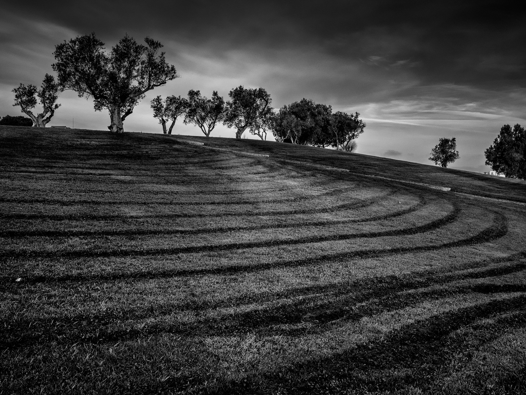 Olympus OM-D E-M1 + Olympus M.Zuiko Digital 17mm F1.8 sample photo. Grass stripes photography