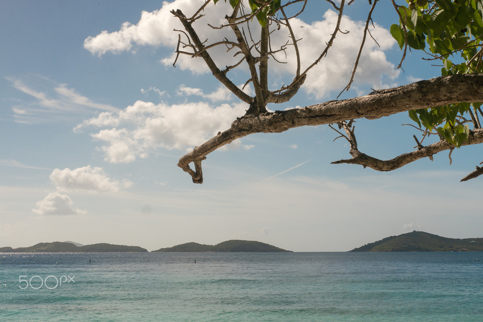 Panasonic Lumix DMC-G5 + Panasonic Leica DG Summilux 25mm F1.4 II ASPH sample photo. Us virgin islands 2 photography