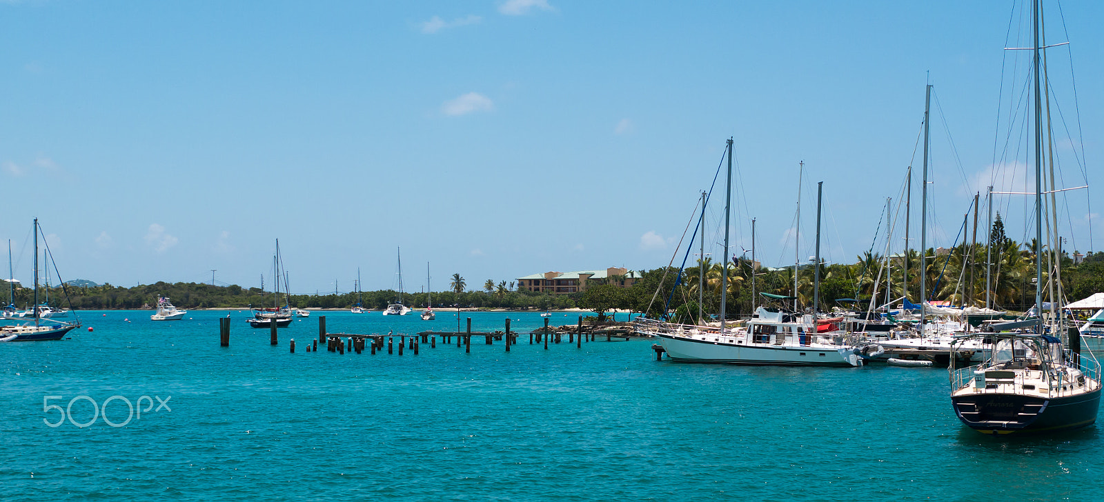 Panasonic Lumix DMC-G5 + Panasonic Leica DG Summilux 25mm F1.4 II ASPH sample photo. Us virgin islands 4 photography