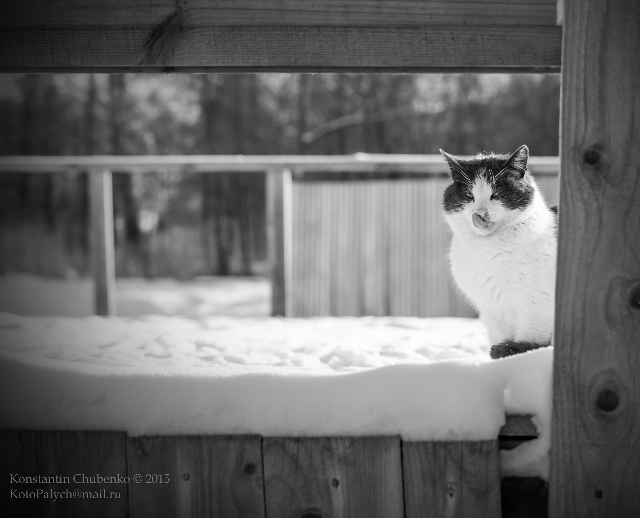 70-200mm F2.8 sample photo. *** photography