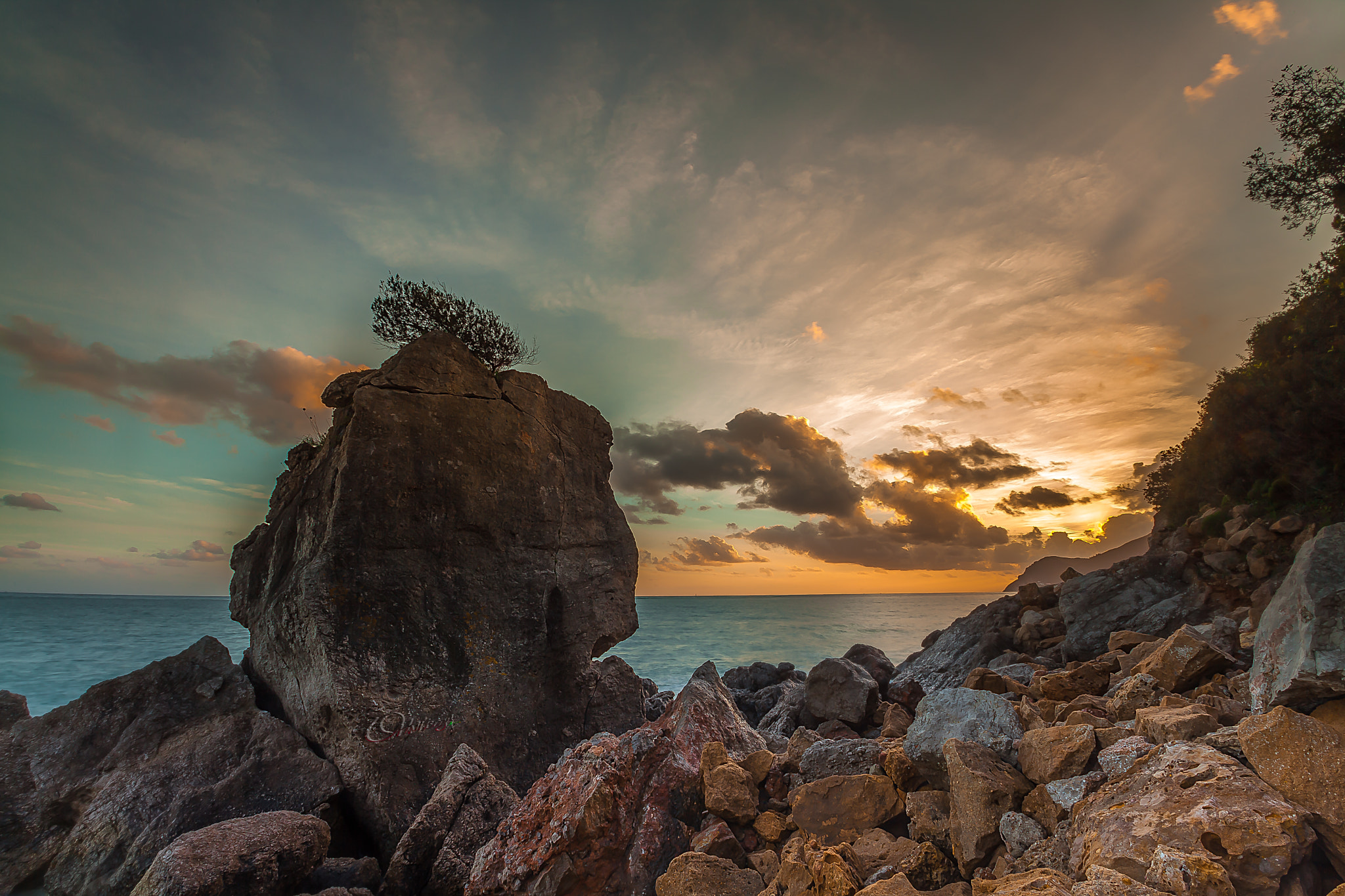 Sigma 10-20mm F3.5 EX DC HSM sample photo. Seagull rock photography