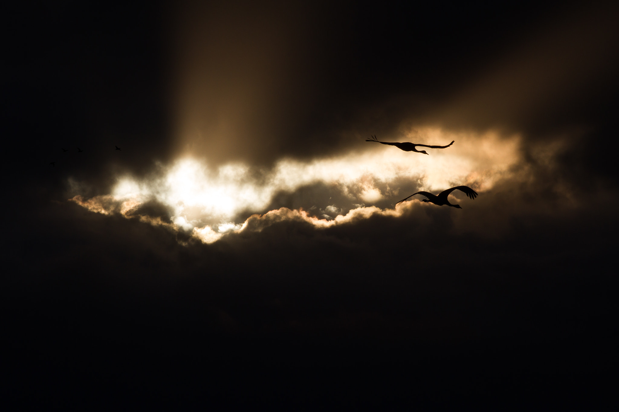 Canon EOS 7D + Canon EF 200mm F2.8L II USM sample photo. Saritkr-4266.jpg photography