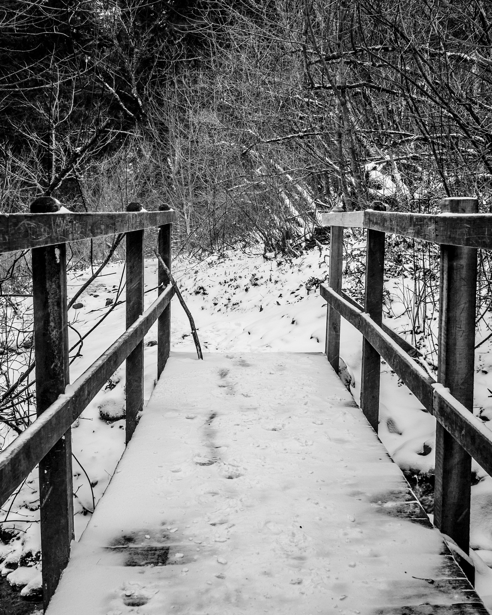 Olympus PEN E-PL3 + Panasonic Lumix G 20mm F1.7 ASPH sample photo. Angel's rest bridge photography